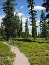 The Middle Lakes Trail took us through manzanita filled meadows -- amazing and my Dad would have been in heaven.